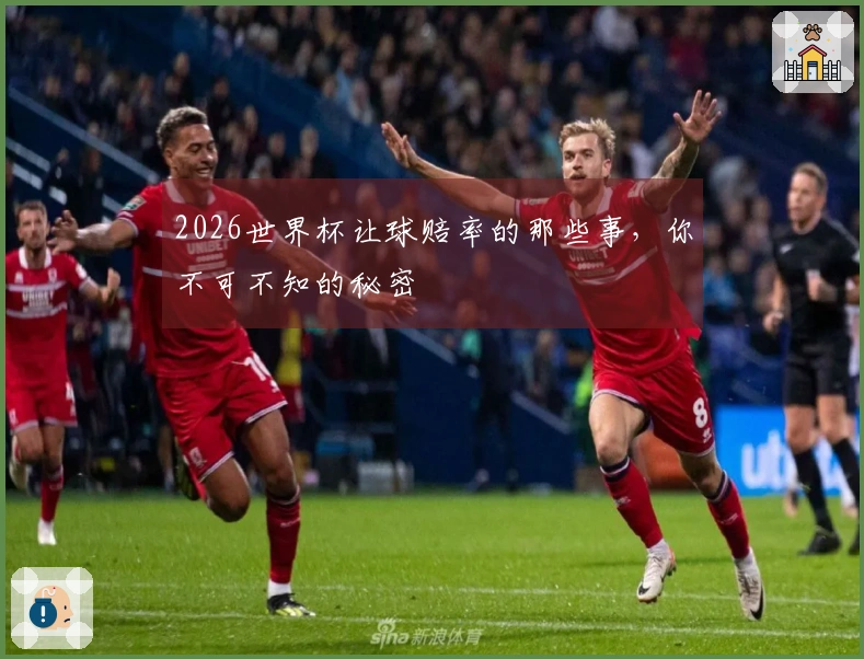 2026世界杯让球赔率的那些事，你不可不知的秘密