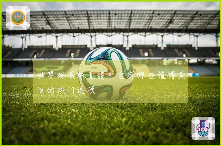 世界杯滚球竞猜平台有哪些值得关注的热门选项